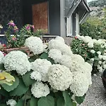 罗马露营酒店 3* 文蒂米利亚