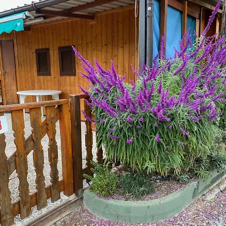 罗马露营酒店 假日公园 文蒂米利亚