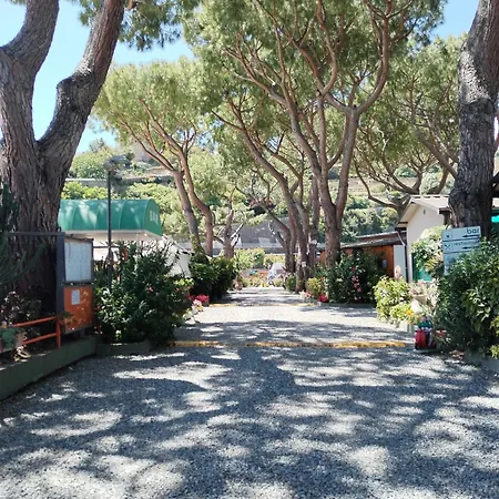 База отдыха Camping Roma