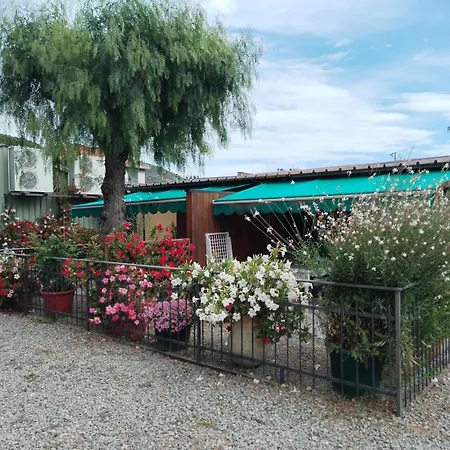 Camping Roma База отдыха 3*