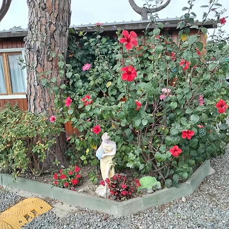假日公园 罗马露营酒店 3*