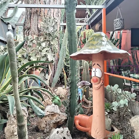Roma 3* Ventimiglia