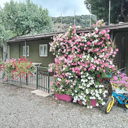 База отдыха Camping Roma