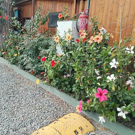 База отдыха Camping Roma 3*