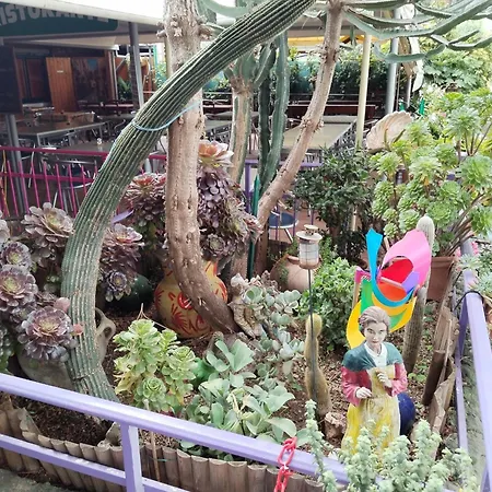 Roma Feriepark