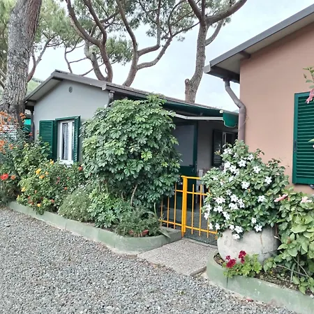 Camping Roma 3*